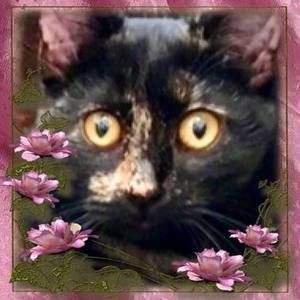 Meet your Posher, Christie